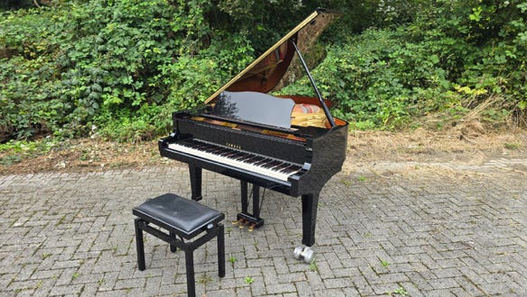 Leigflügel Yamaha C3